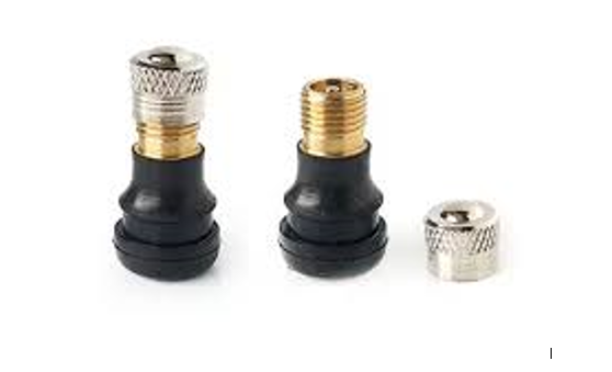 Segway Ninebot Max G65 Tire Vacuum Valve